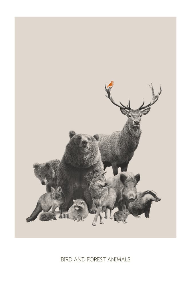 Forest Animal Gathering by Sarah Bühler — canvas wall art