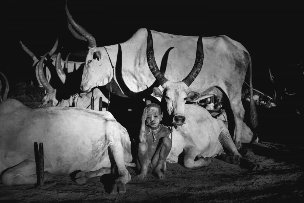 Night With Sacred Cattle by Svetlin Yosifov — canvas wall art