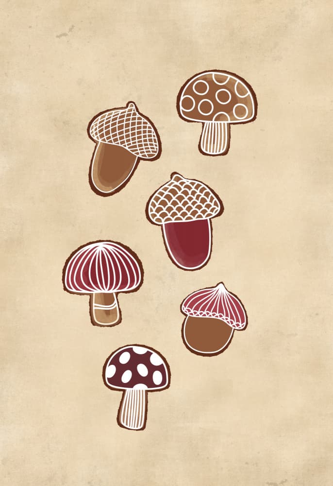 Cozy Mushroom Acorns by Rosana Laiz Blursbyai — canvas wall art