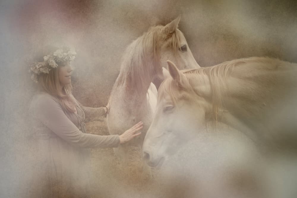 Flower Crown Horse Connection by Olga Mest — canvas wall art