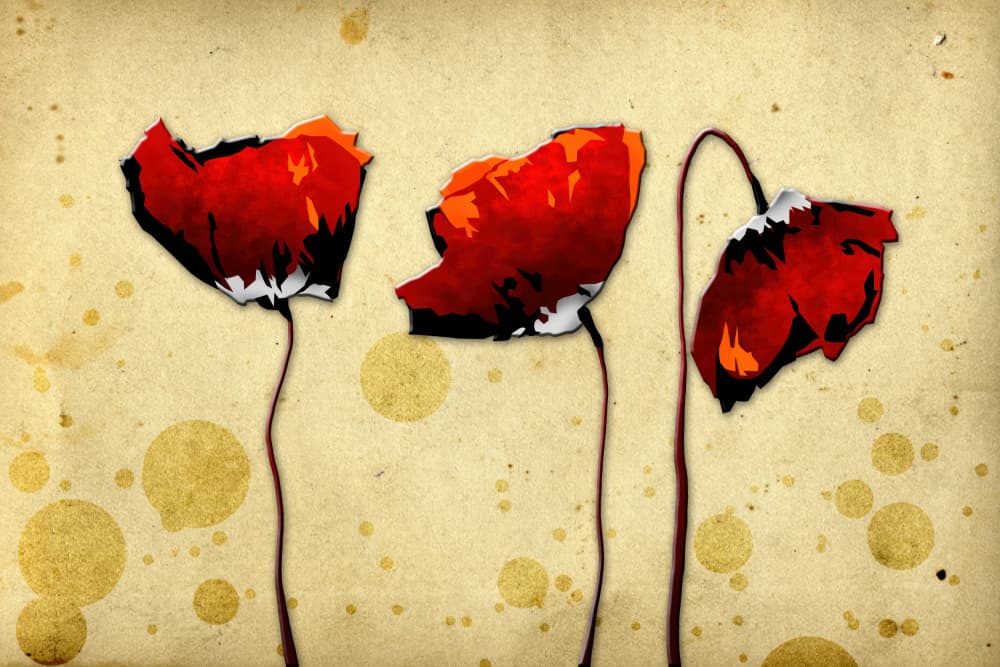 Distressed Red Poppies by Rafal Kulik — canvas wall art
