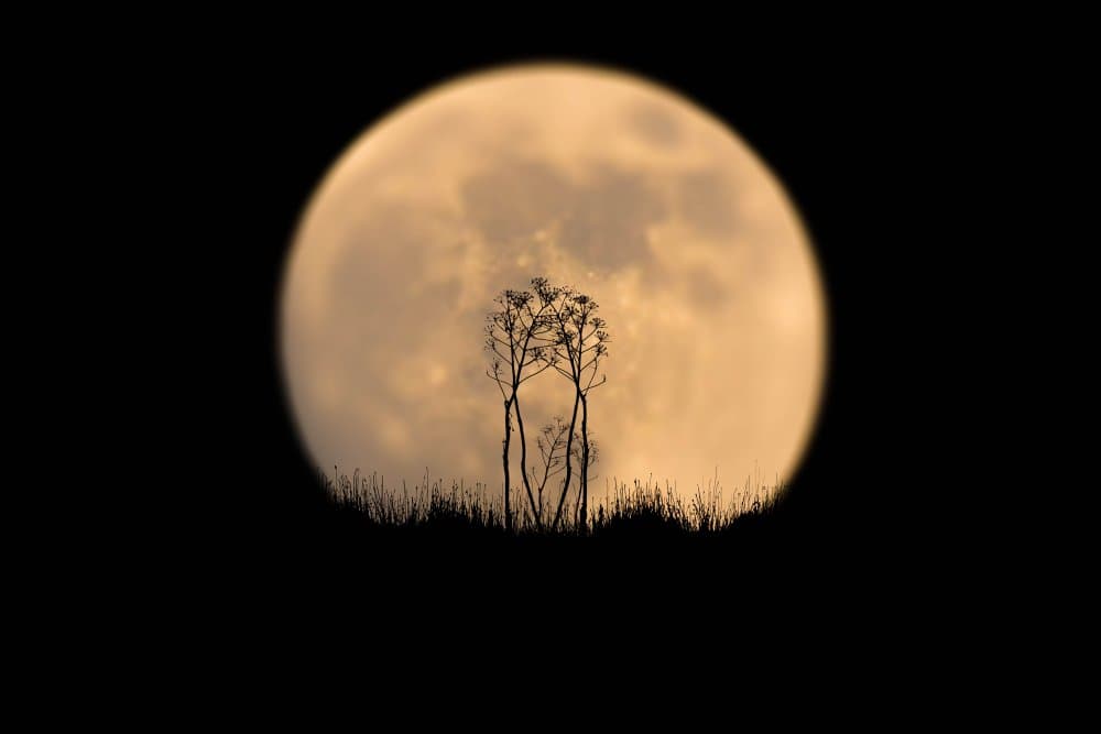 Big Moon Silhouette by אייל בר אור • Eyal Bar Or — canvas wall art