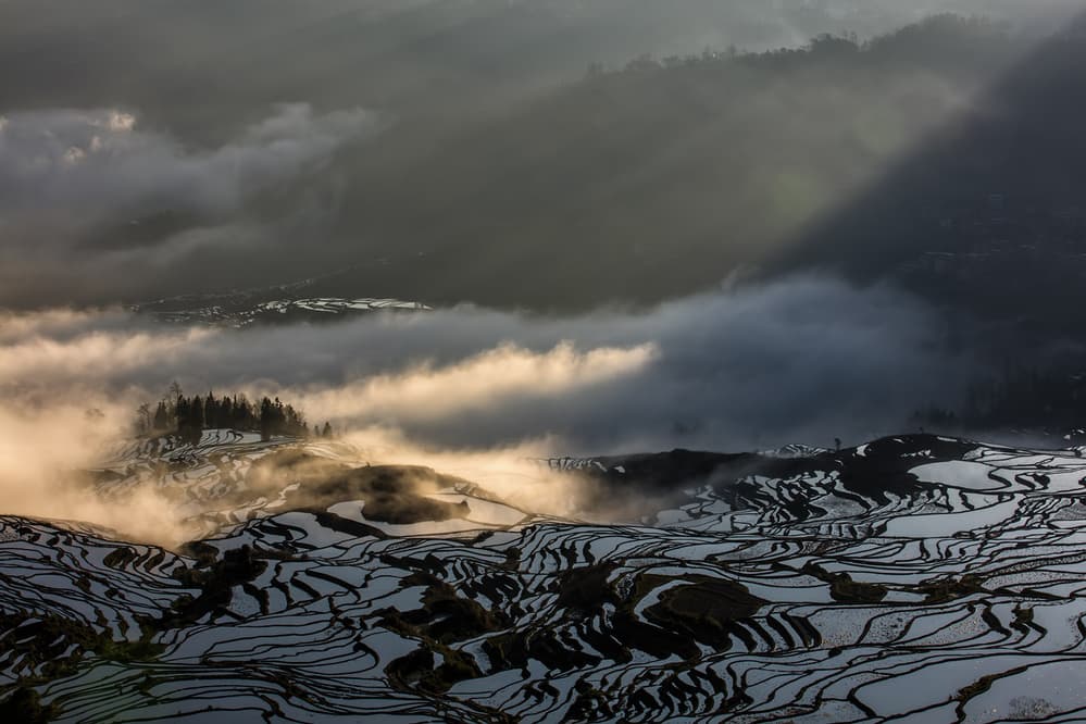 Golden Light Terraces by Gunarto Song — canvas wall art