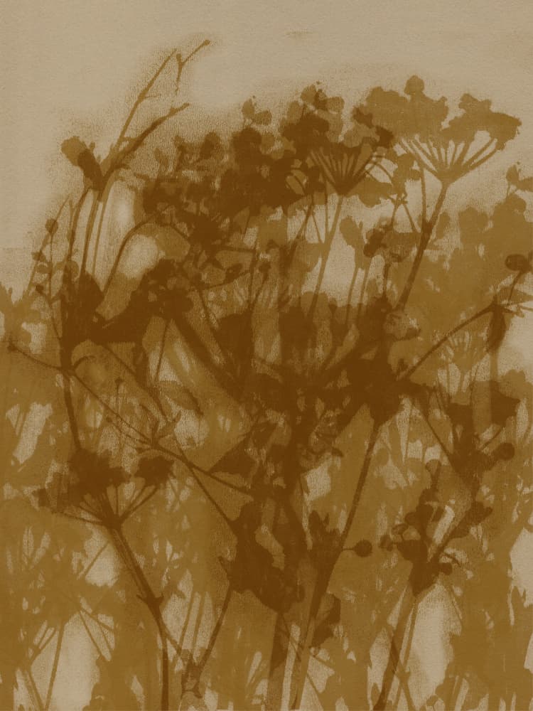 Golden Botanical Silhouettes by Dina Dankers — canvas wall art
