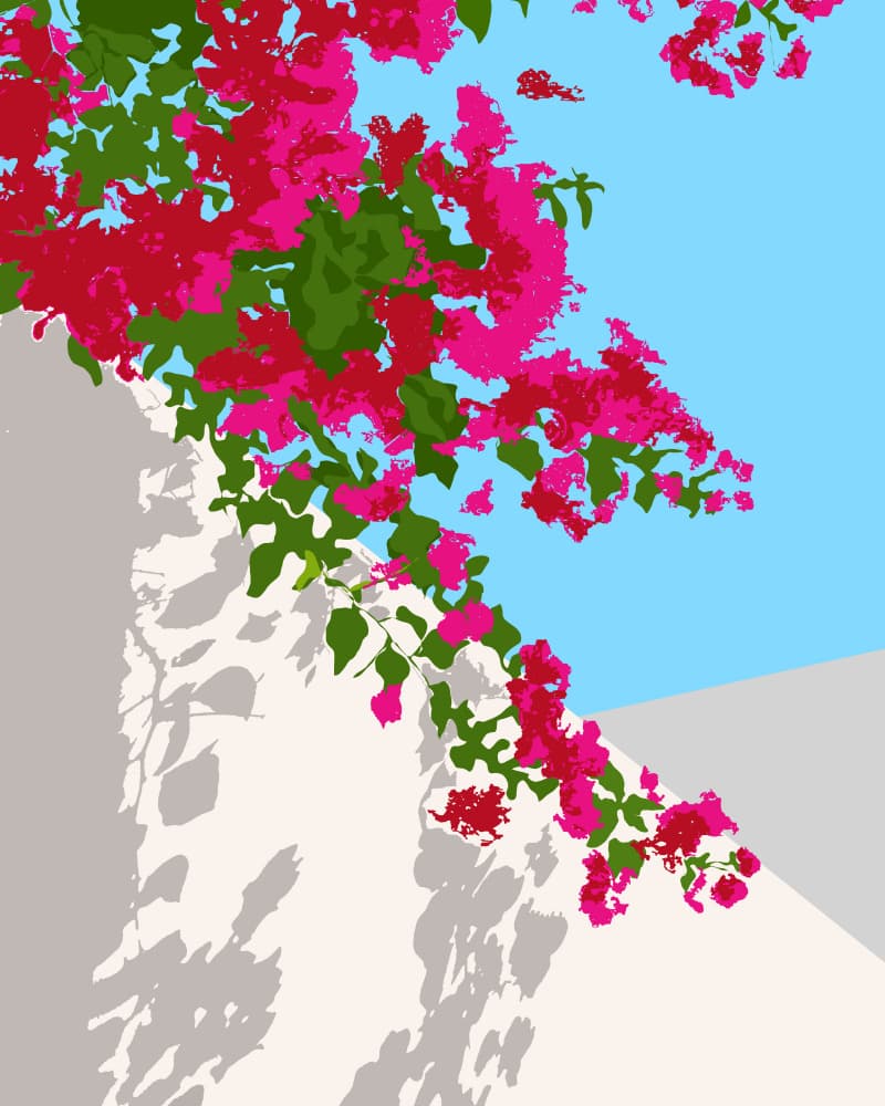 Vibrant Bougainvillea Wall by Uma Gokhale — canvas wall art