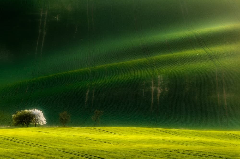 Rolling Green Landscape by Piotr Krol (Bax) — canvas wall art