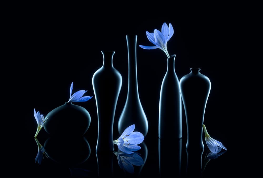 Elegant Blue Still Life by Lydia Jacobs — canvas wall art