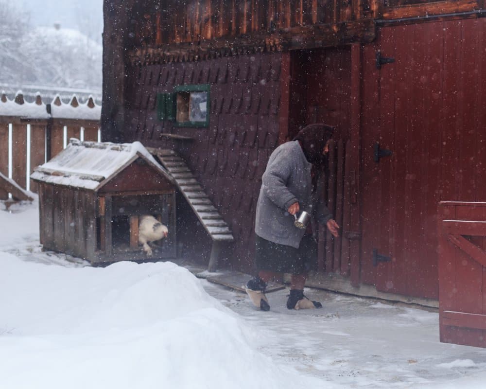 Elderly Woman Winter Day by Marina Sveduneac — canvas wall art
