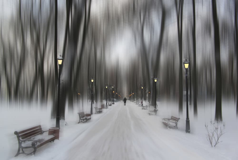 Solitary Winter Walk by Alexander Kiyashko — canvas wall art