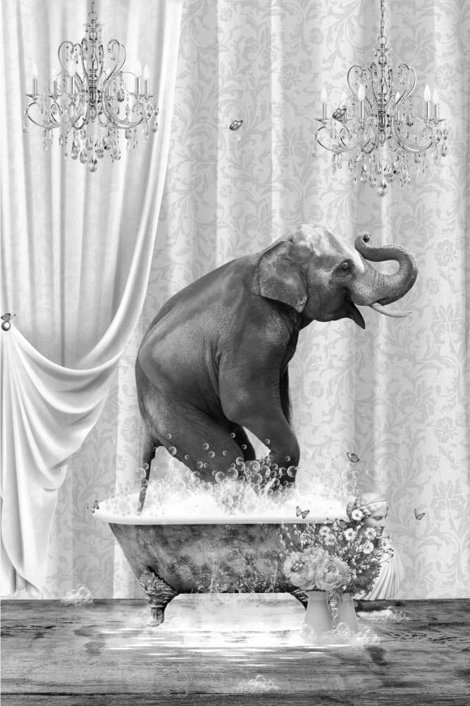 Whimsical Elephant Bath by Sue Skellern — canvas wall art