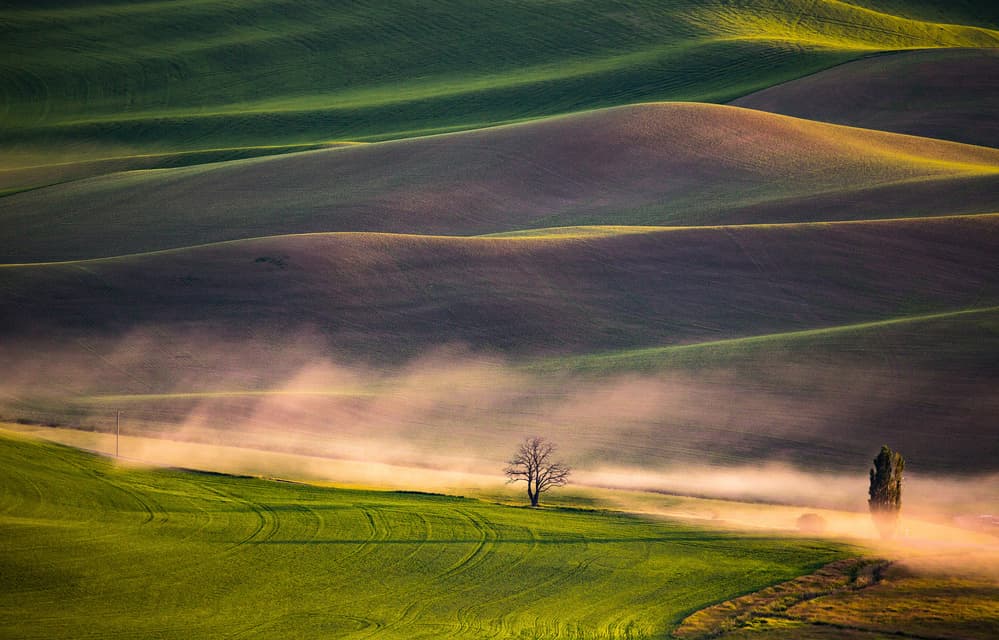 Misty Rolling Hills by April Xie — canvas wall art