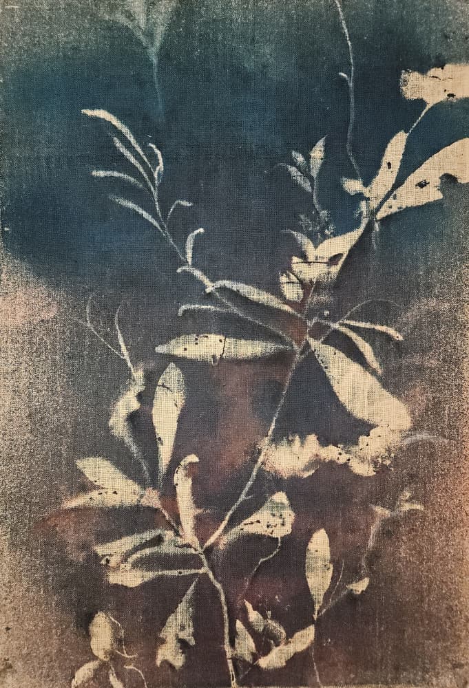 Vintage Blue Botanicals by Stefano Mazzolini — canvas wall art
