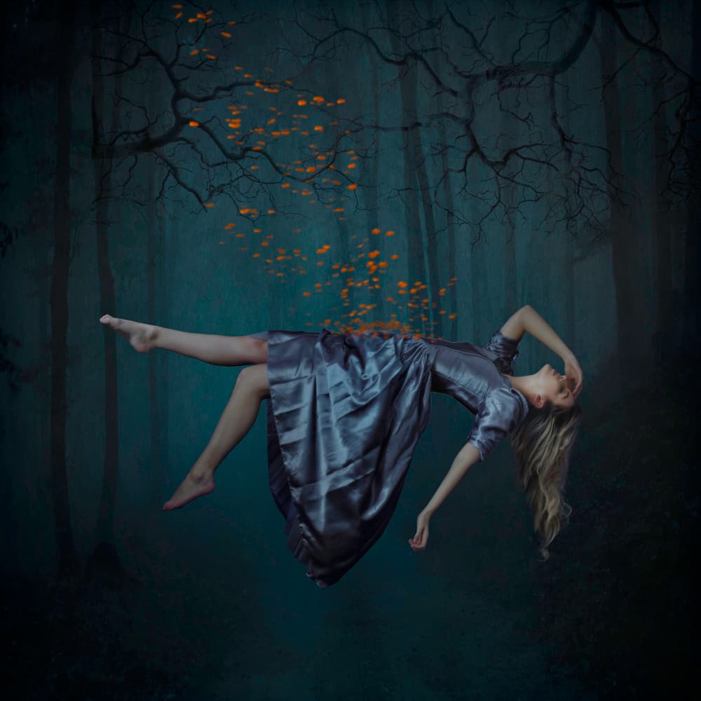 Floating Forest Dream by Catchlight Studio — canvas wall art