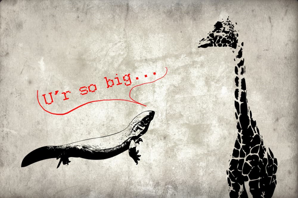 Big Giraffe Little Lizard by Rafal Kulik — canvas wall art