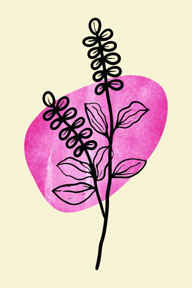 Botanical Line Art Bloom by jay stanley — canvas wall art