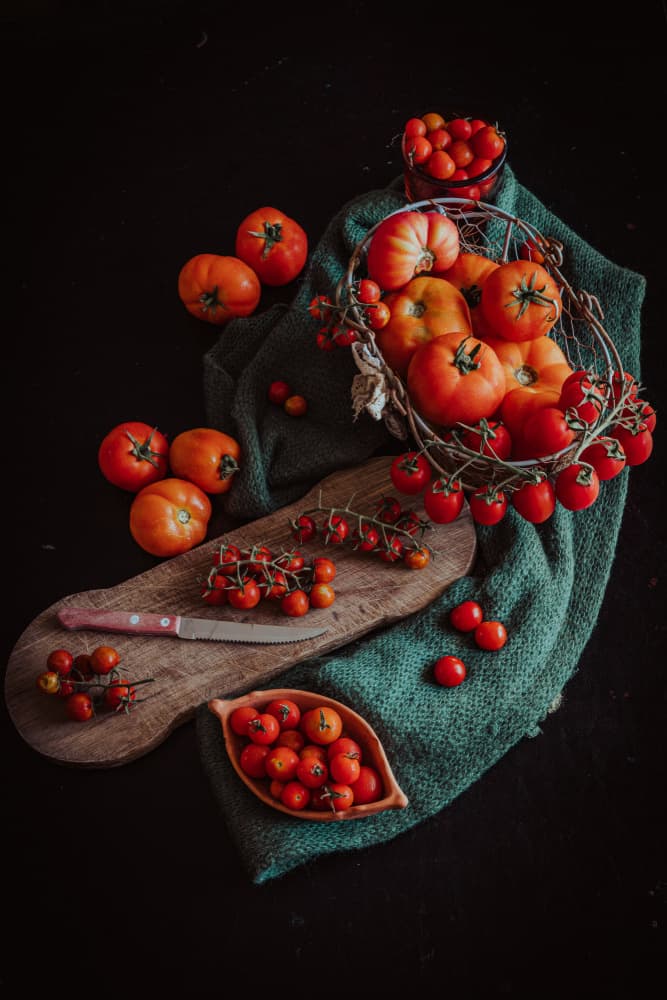 Rustic Tomato Harvest by Marija Kordić — canvas wall art