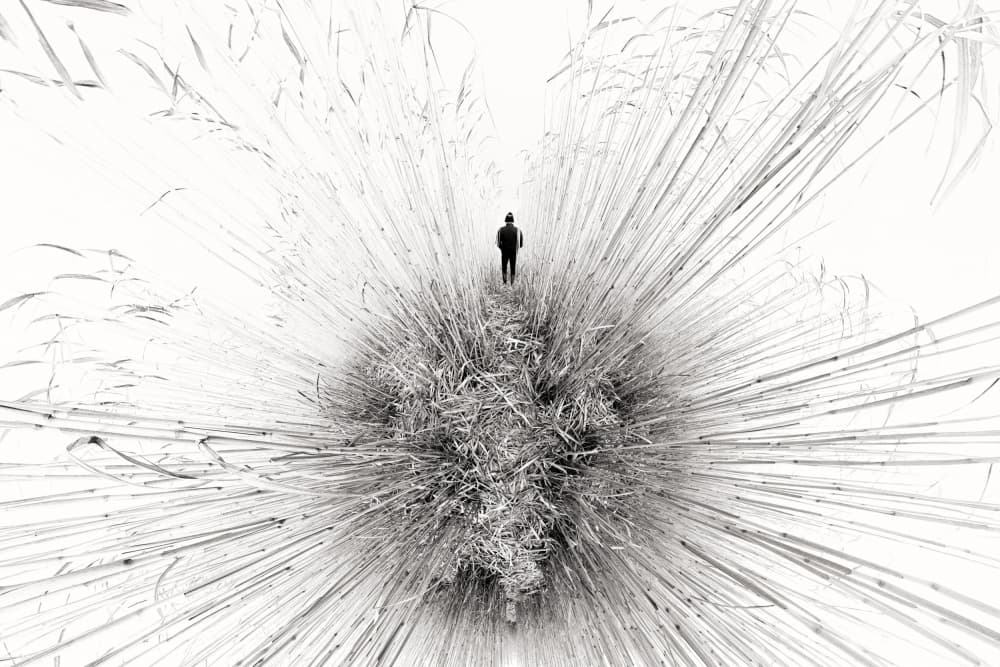 Lone Figure Amidst Reeds by Francois Casanova — canvas wall art