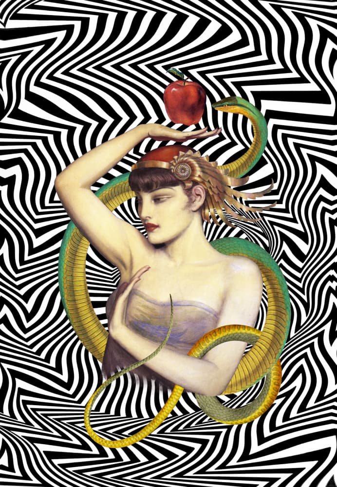 Elegant Woman Serpent Apple by Paste in Place — canvas wall art