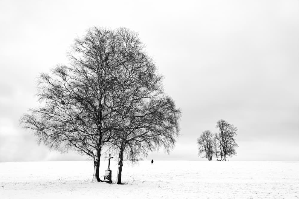 Winter Cross and Trees by Hans Peter Rank — canvas wall art