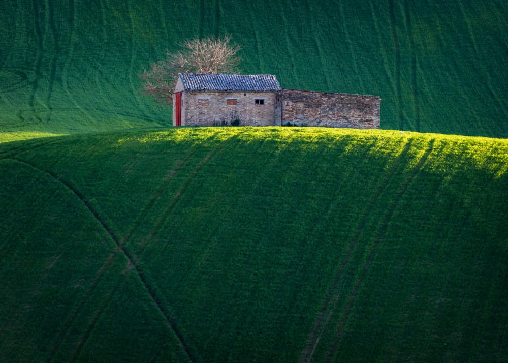 Green Field Barn by Sergio Barboni — canvas wall art