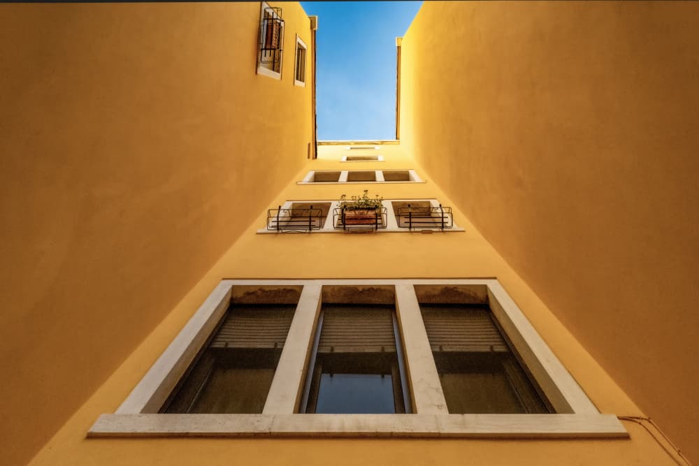 Narrow Yellow Upward View by Linda Wride — canvas wall art