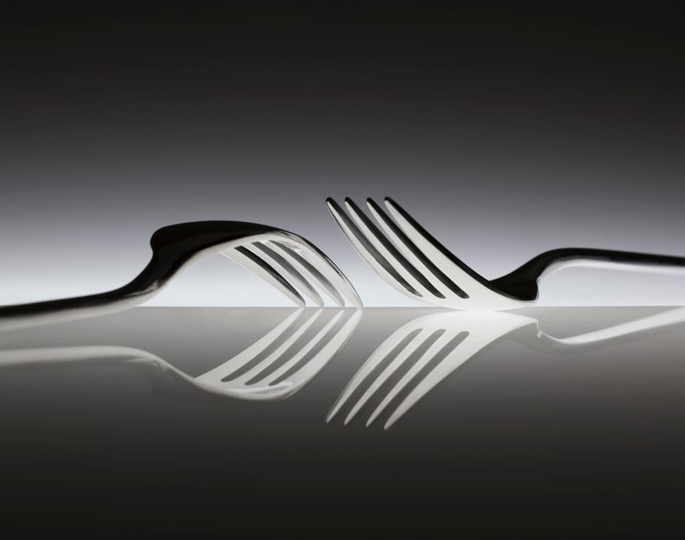 Elegant Forks Reflection by Wieteke de Kogel — canvas wall art