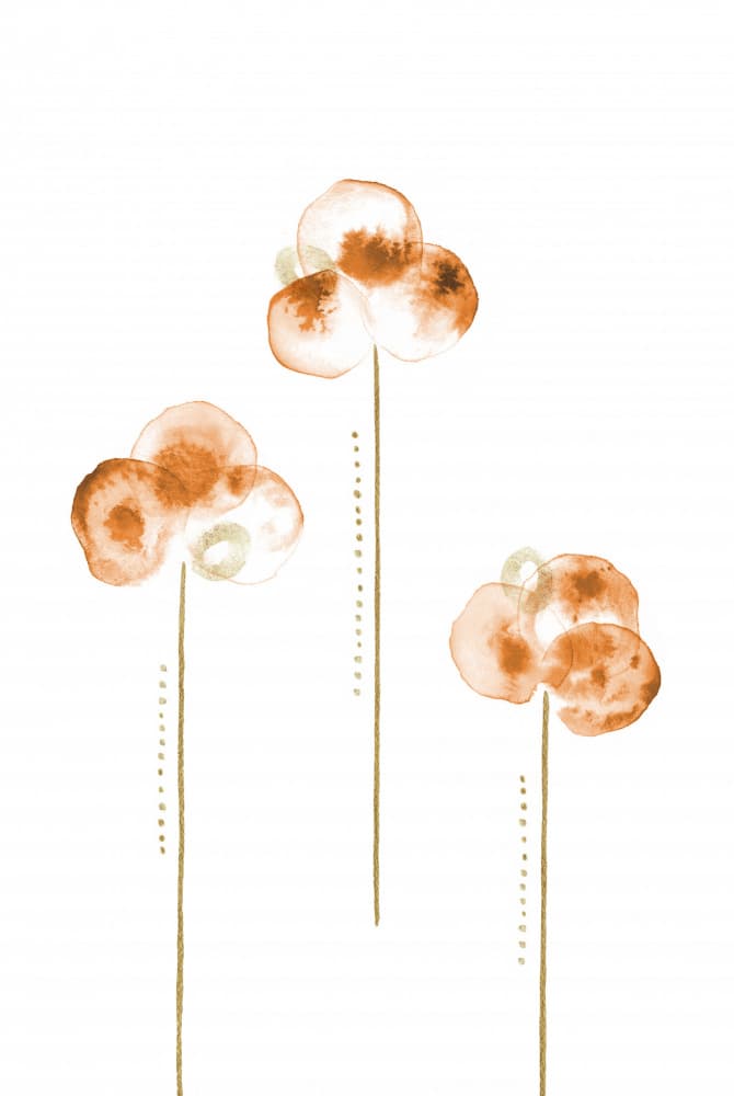 Minimalist Orange Blooms by Fabiana Silveira — canvas wall art