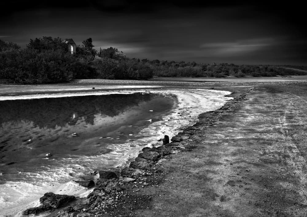 Moody Lakeside Reflection by willem — canvas wall art