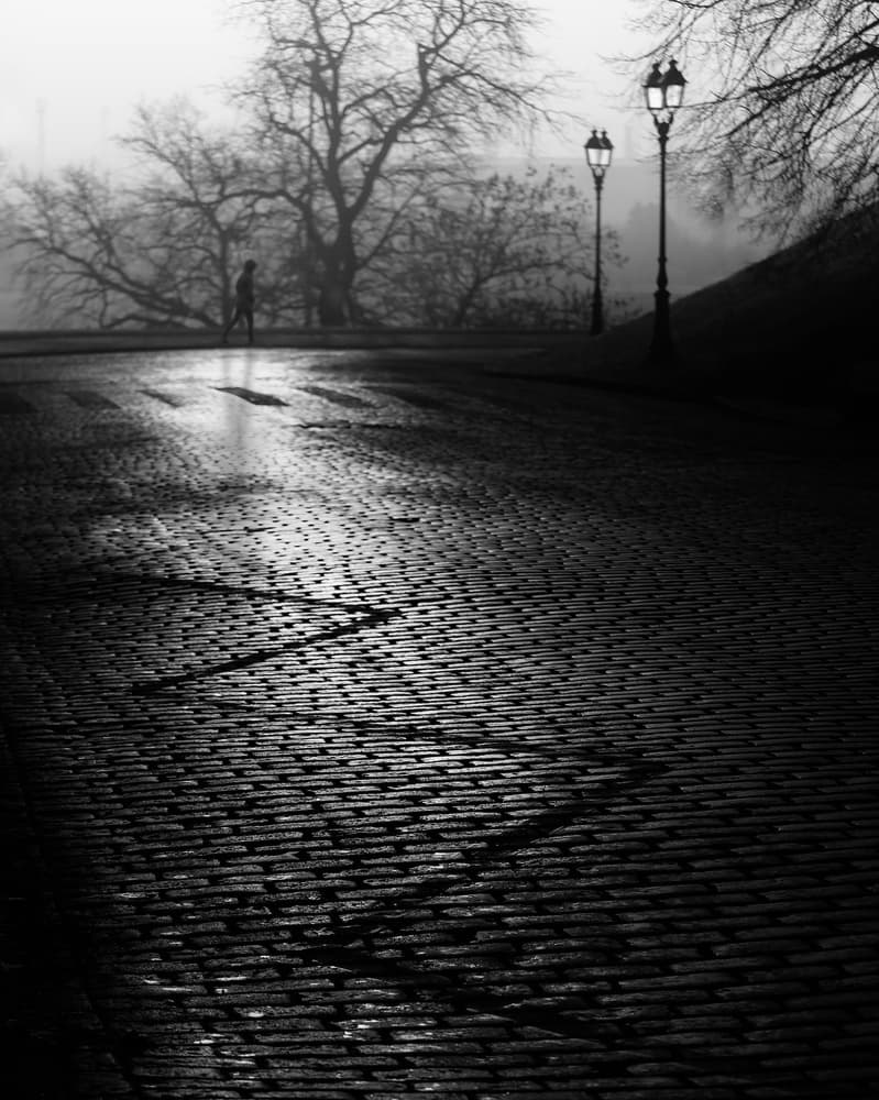 Misty Cobblestone Path by Anna Niemiec — canvas wall art