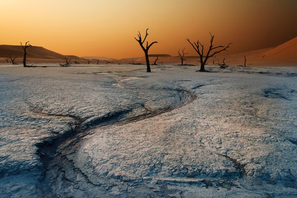 Desert Trees Orange Sky by Hans Repelnig — canvas wall art