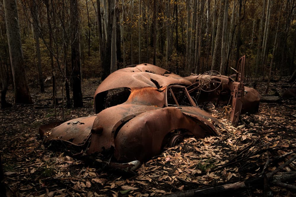 Rusty Woodland Wreck by Francis Keogh — canvas wall art