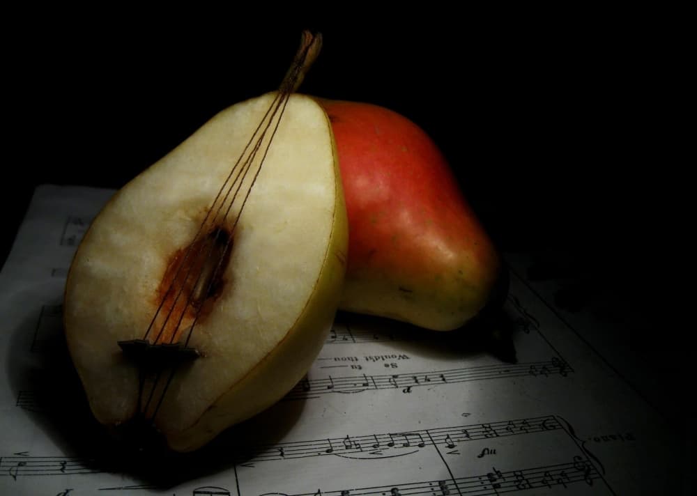Musical Pear Still Life by Emine Basa — canvas wall art