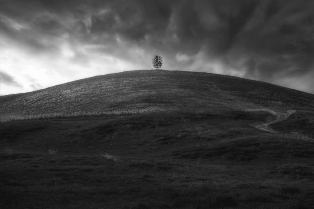 Moody Hilltop Tree by Thomas de Franzoni — canvas wall art