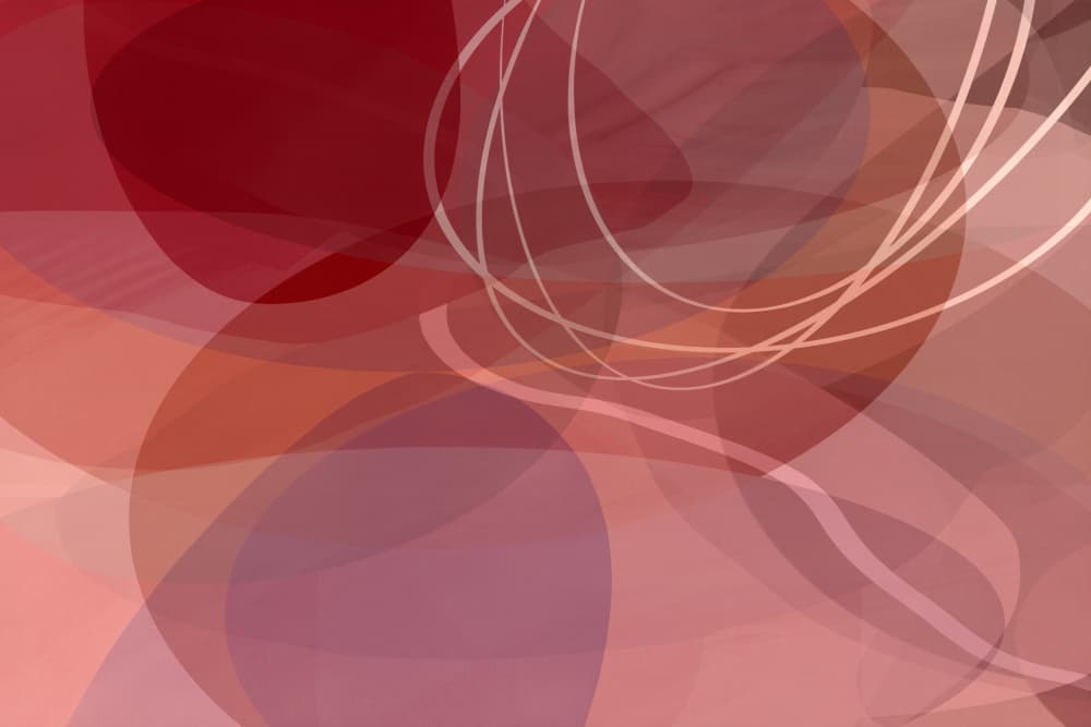 Flowing Abstract Curves by cartissi — canvas wall art