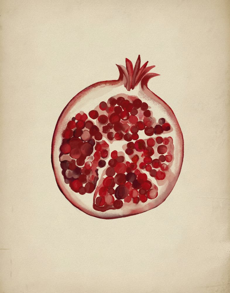 Juicy Red Pomegranate by Josie George — canvas wall art