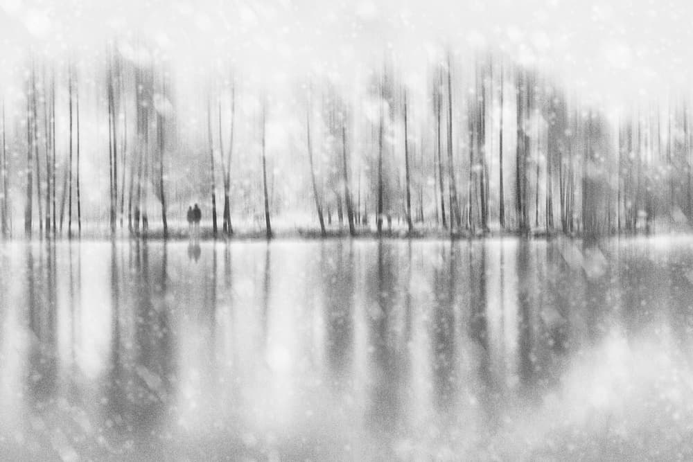 Winter Couple Reflection by Gustav Davidsson — canvas wall art