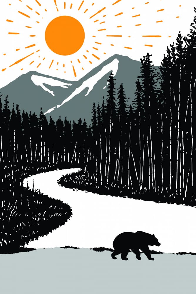 Sunny Mountain Bear by jay stanley — canvas wall art