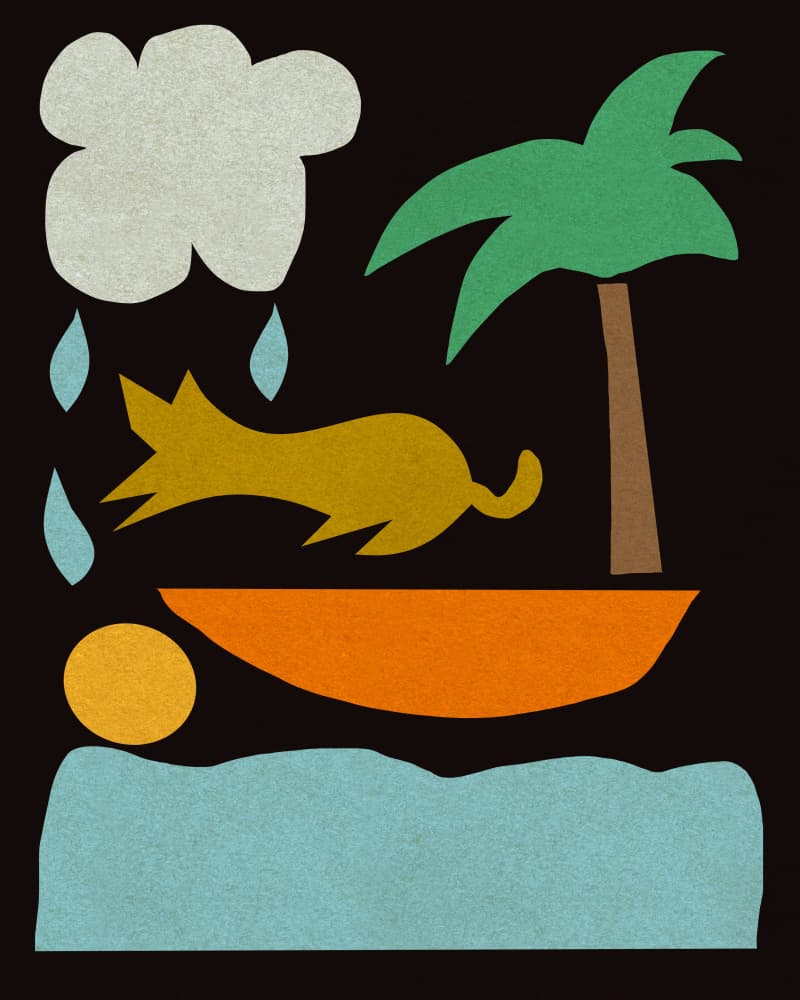 Playful Island Dog by Josie George — canvas wall art