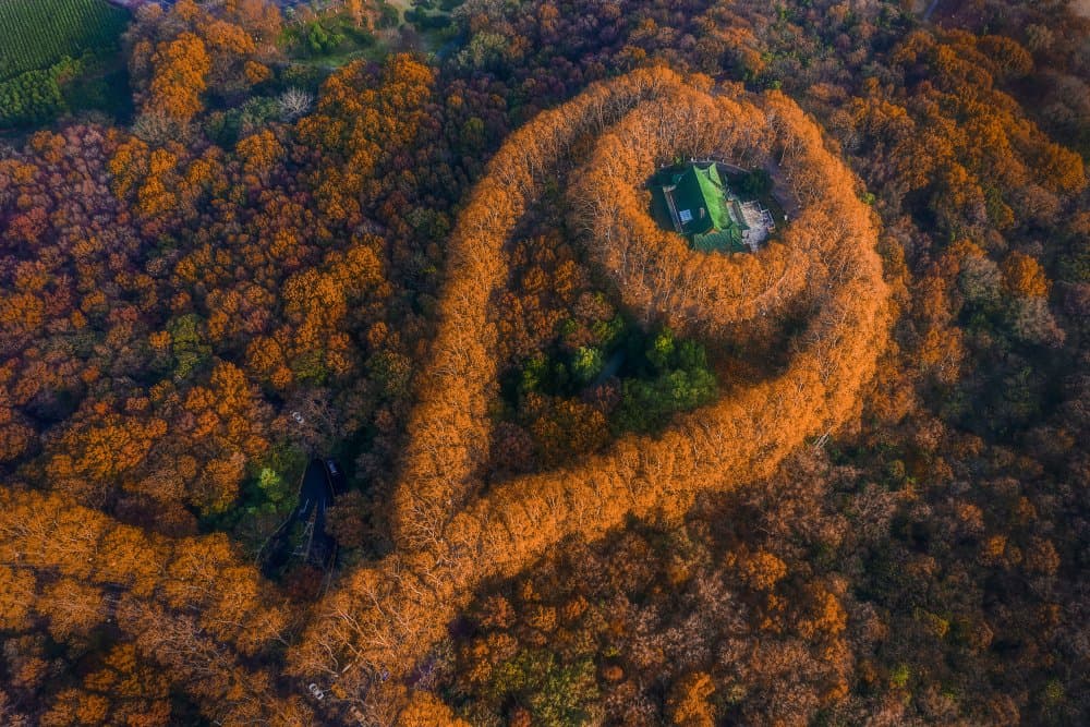 Autumn Forest Spiral House by Xiaoyang Wang — canvas wall art