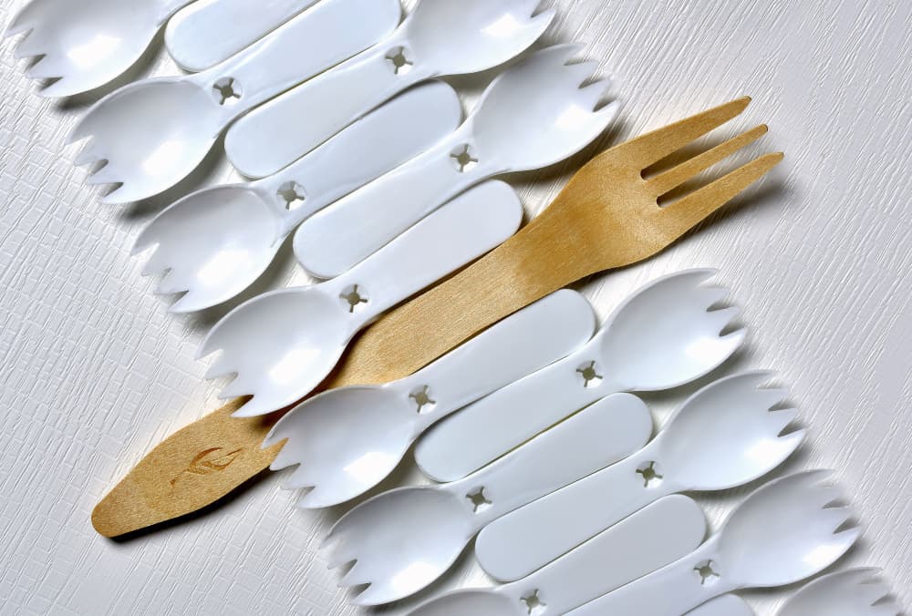 Sustainable Cutlery Choice by Raffaele Corte — canvas wall art