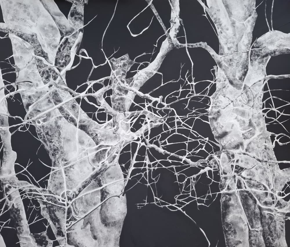 Bare Winter Branches by Alex Walsh — canvas wall art