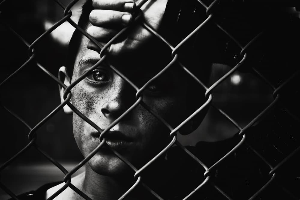 Intense Gaze Through Fence by André Gonçalves — canvas wall art