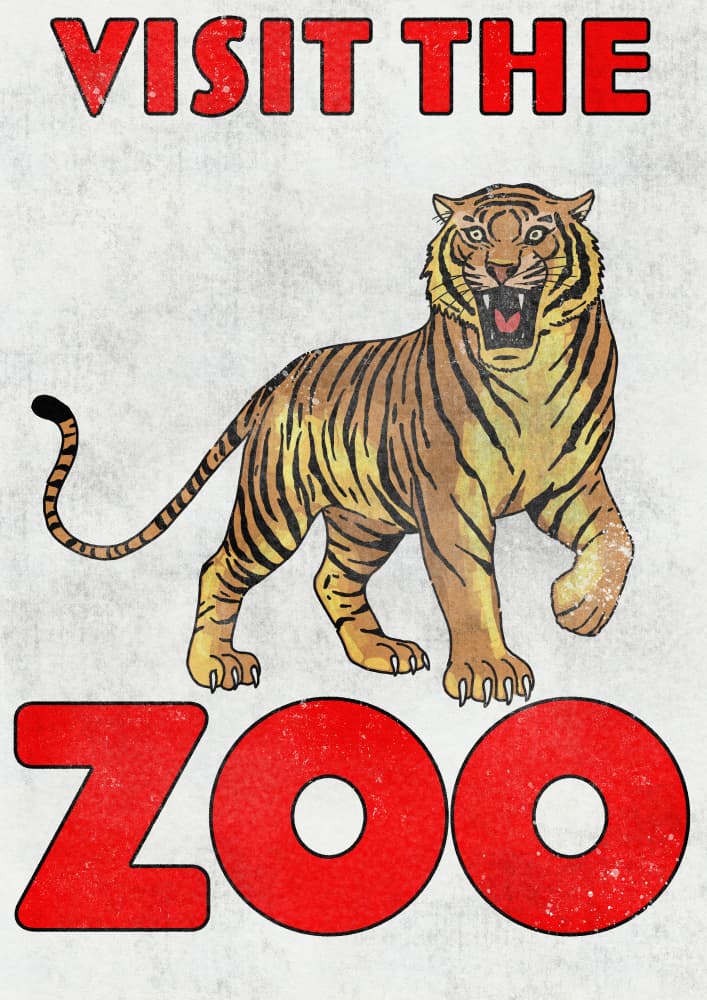 Visit The Zoo Tiger by Nicholas — canvas wall art