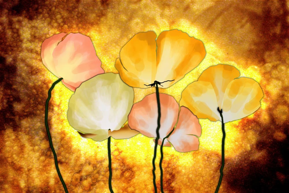 Golden Poppy Glow by Rafal Kulik — canvas wall art