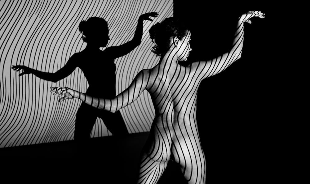 Striped Shadow Dance by Joan Gil Raga — canvas wall art