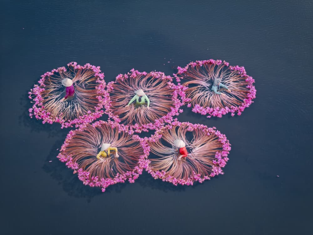 Floating Flower Figures by Liguang Huang — canvas wall art