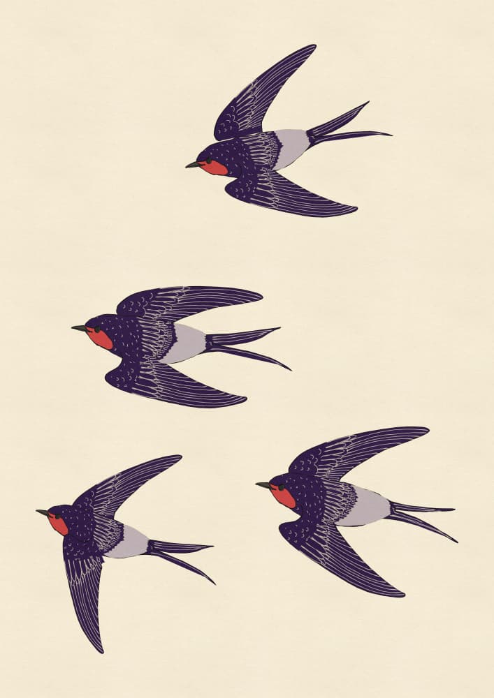 Barn Swallows in Flight by Nicholas — canvas wall art