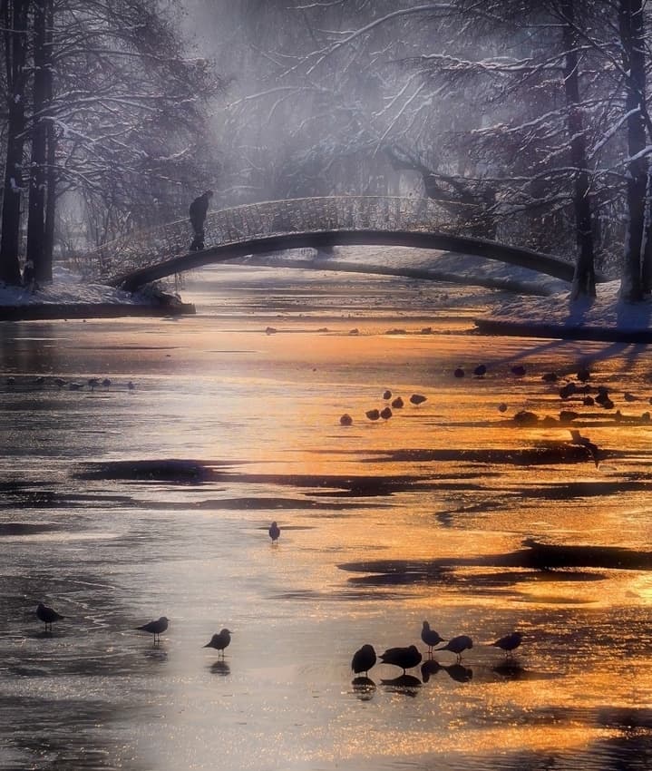 Misty Winter Bridge by Cristian Andreescu — canvas wall art