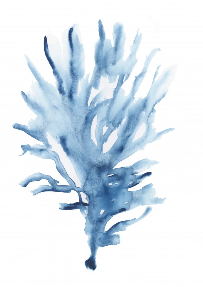 Abstract Blue Coral by cartissi — canvas wall art