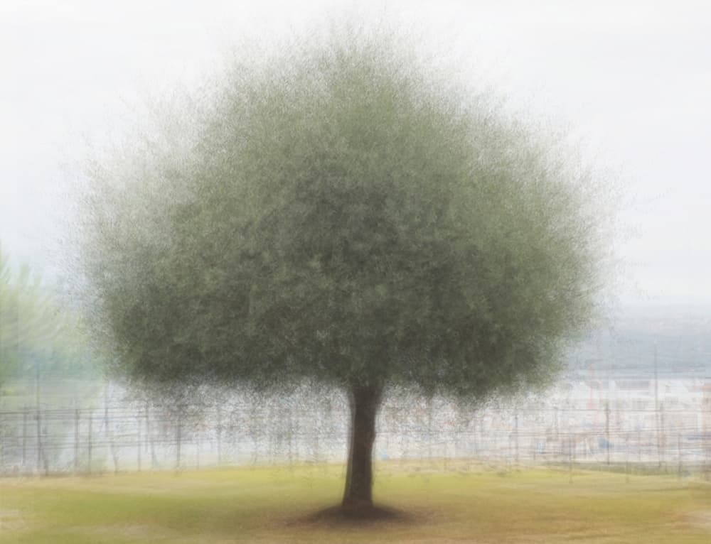 Ethereal Green Tree by Gregor Szalay — canvas wall art